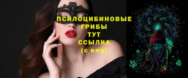 гидра Баксан