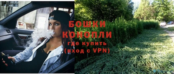 гидра Баксан