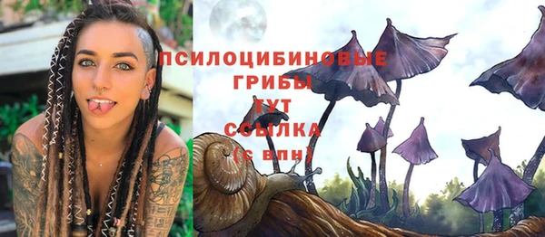 PSILOCYBIN Сафоново