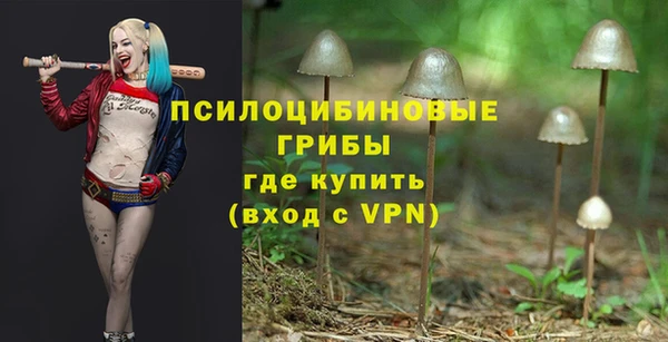 spice Балабаново