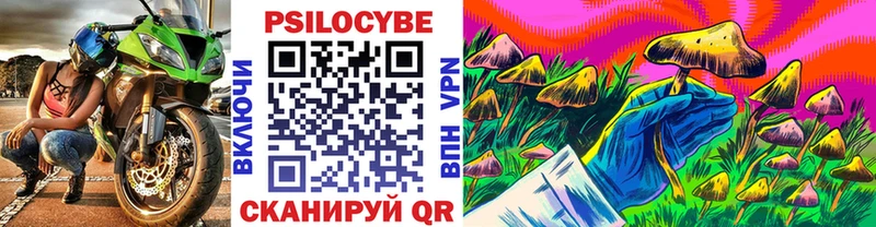 Галлюциногенные грибы Psilocybine cubensis Балахна